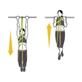 Pull-up Strap with Tubing