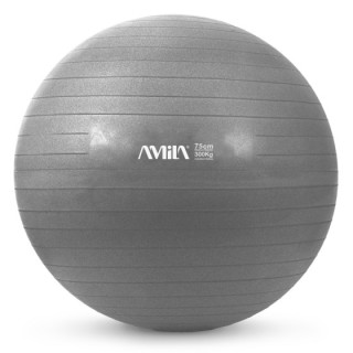 GymBall 75cm Γκρι