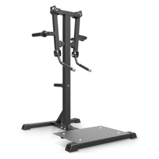 Standing Lateral Raise Impulse IFP1103