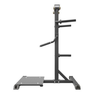 Standing Lateral Raise Impulse IFP1103