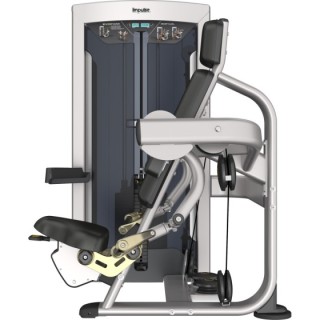 Arm Curl Impulse FE9703 Ασημί