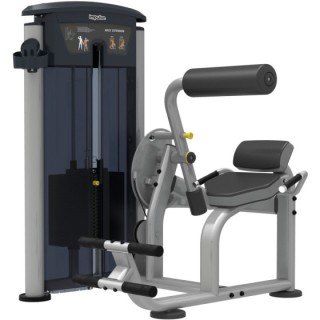 Back Extension Impulse IT9532 Ασημί