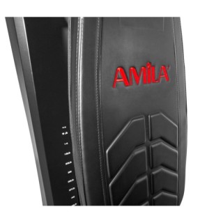 Πολυόργανο Γυμναστικής AMILA DS915